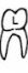 Tooth l